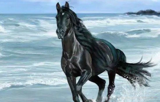 汗血宝马多少钱一匹 流的汗是红色的:汗血宝马是哪个国家的