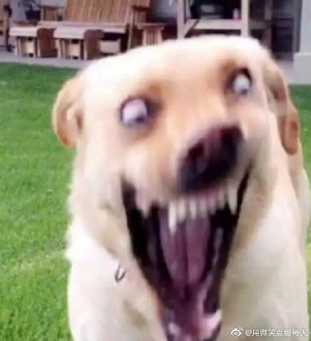 �����ʲô��˼�������� Ů������Ц˵������������񾭲�