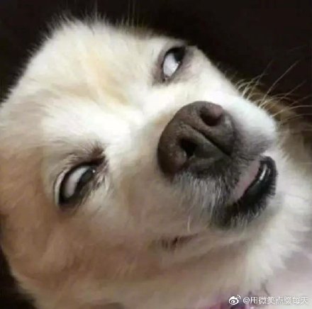 �����ʲô��˼�������� Ů������Ц˵������������񾭲�