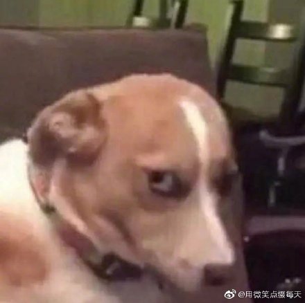 �����ʲô��˼�������� Ů������Ц˵������������񾭲�