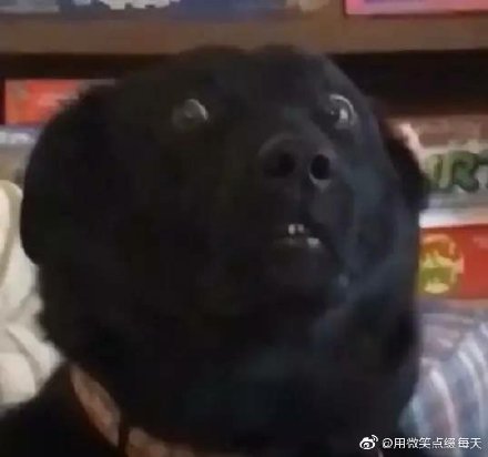 �����ʲô��˼�������� Ů������Ц˵������������񾭲�