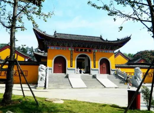 ��������ʲô�Ƚ��� ���ŵ����������Ե����