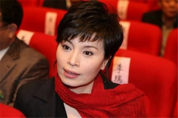 王宁女主持人简介 中央台男主持人王宁的老婆刘春燕