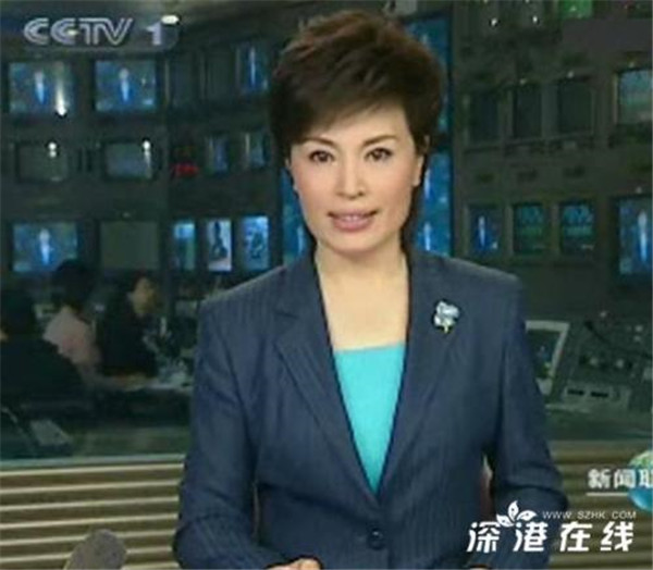 王宁女主持人简介 中央台男主持人王宁的老婆刘春燕