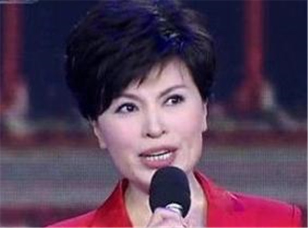 王宁女主持人简介 中央台男主持人王宁的老婆刘春燕