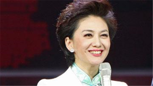 王宁女主持人简介 中央台男主持人王宁的老婆刘春燕