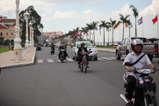 ����կ�ֲ��������ֲ� �����ڼ���կΣ����