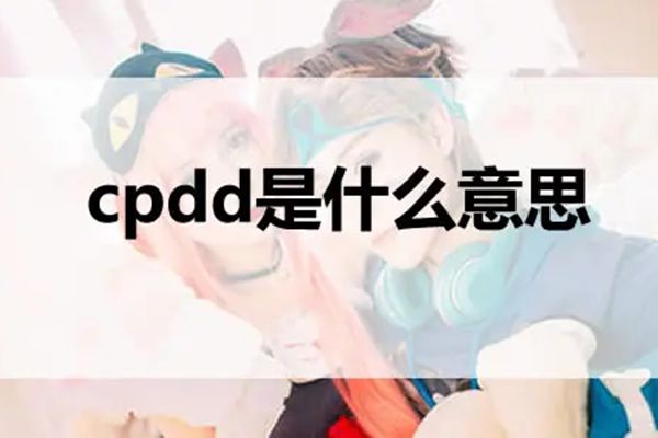 cpddʲô cpdd
