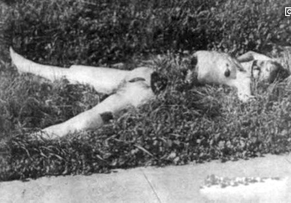 ��ɫ���������������ҵ����� �ж��̬Ϊʲô��ô����