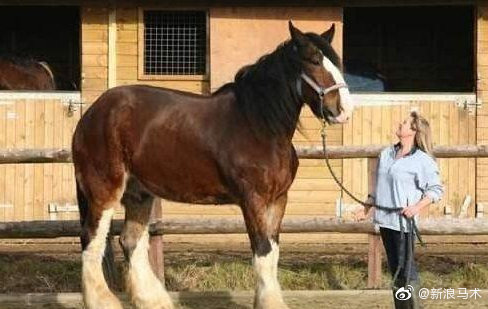 �����Ķ�������Ǯһƥ �ٶȲ��죺�Ķ���Ϊʲô������