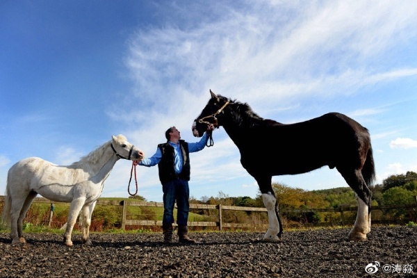 �����Ķ�������Ǯһƥ �ٶȲ��죺�Ķ���Ϊʲô������