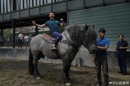 �����Ķ�������Ǯһƥ �ٶȲ��죺�Ķ���Ϊʲô������