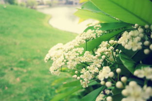 ʯ骻���ζ����ɶζ�� ���ۻ���ʯ骻�����ʲô��˼����������