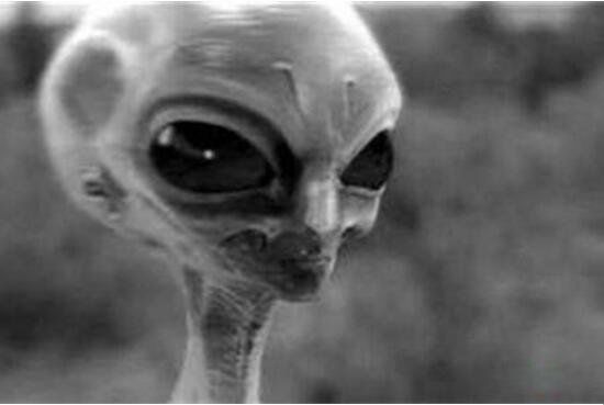 ����Ůʬ֮��������Ƶ���� ������20������������������������