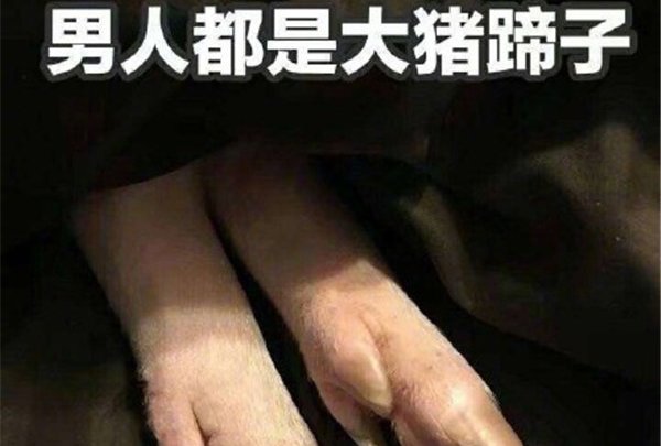 ������������������ʲô��˼ ������ԭ���׿����ǰ���