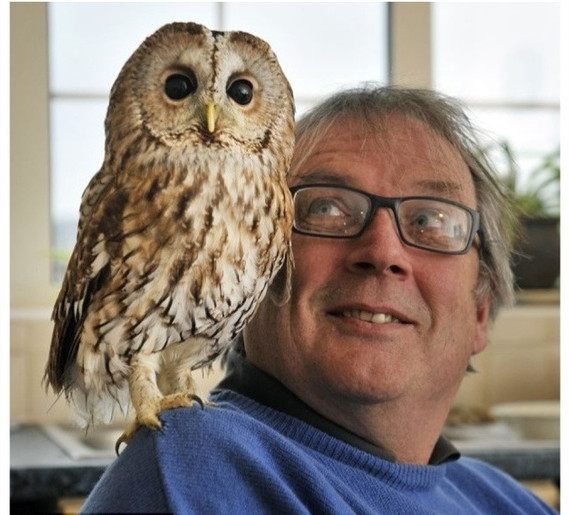 èͷӥ�׽����� �Ұ��������Ŵ�èͷӥ��Ԣ�������