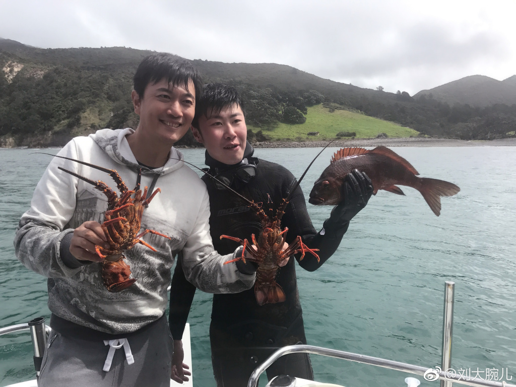 �����μ��������ϼ�� �ƽ���������躵���������λ