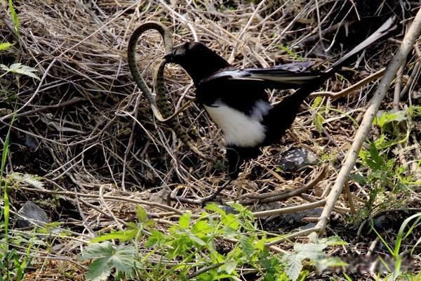 ����ʲô��õ����߷�����ʲô ��ѧ�������߱���