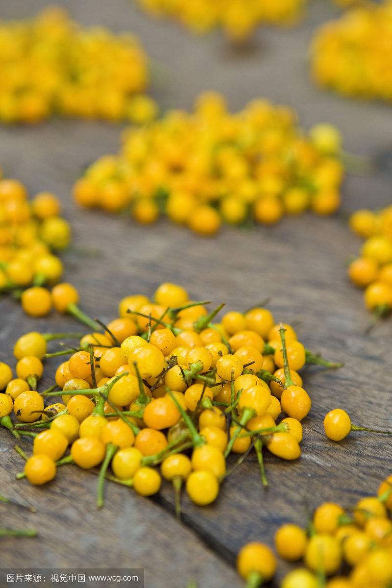 ���������Ĳ���Ƥ����������Ǯһ�� ��������ۣ��۸�Ϊʲô��ô��