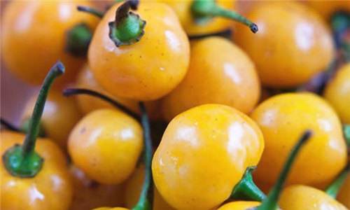 ���������Ĳ���Ƥ����������Ǯһ�� ��������ۣ��۸�Ϊʲô��ô��