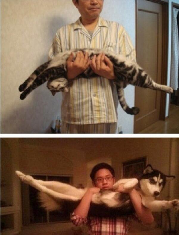 ����������ȷ������ʲô����ͼƬ �������⣺��Ҫ�������