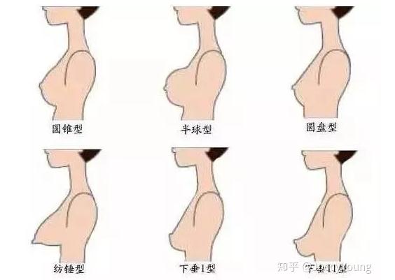 Ů����Χ�ߴ�ȼ� ABCDEFG�ֱ��ж��ͼƬ