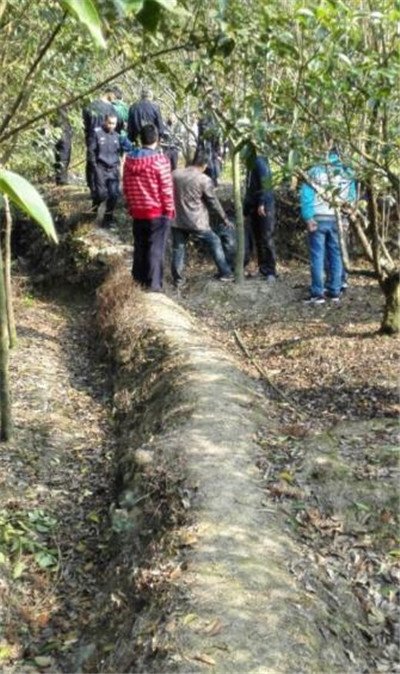 ��ʫ�ܲҰ�������ȥ�� �����¼�����ʫ�������¼��������