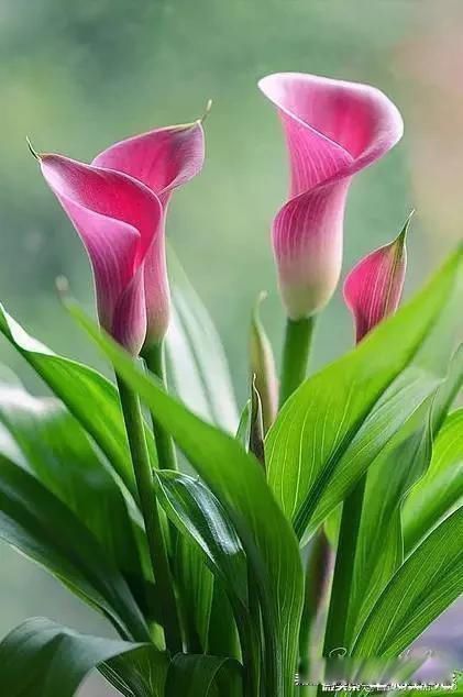 ��������Ĳ������� �������һ������û��ʹ��