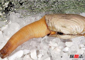 ��ΰ���ʲô���� ��ֵ������������Ķ������ĺ�����