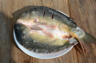 三道鳞鱼为什么不能吃 惹来大祸:为什么不建议吃三道鳞