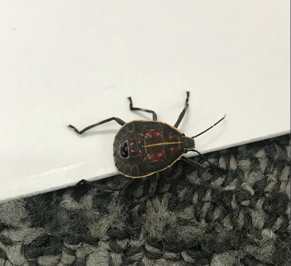 ���������ر����ʲôԭ�� ̫����ô�죿��ô�������İ취