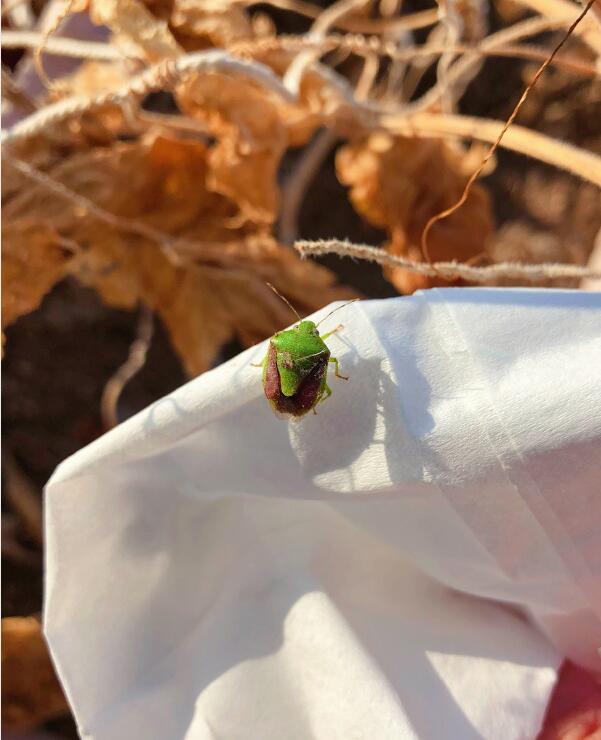 ���������ر����ʲôԭ�� ̫����ô�죿��ô�������İ취