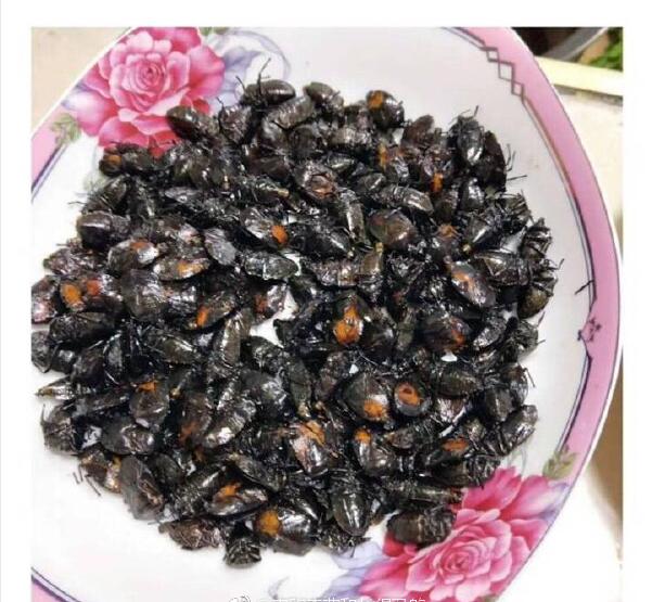 ���������ر����ʲôԭ�� ̫����ô�죿��ô�������İ취