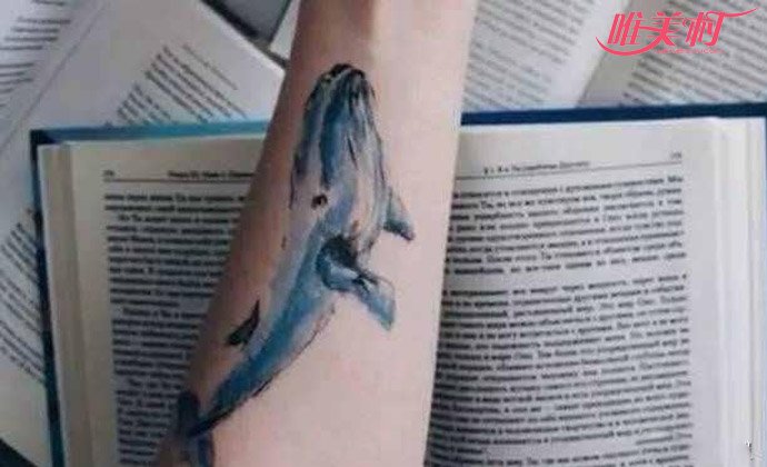 ������ϷԴ���ĸ����� �ݶ�����Ϸ��������Ϸ��������˭