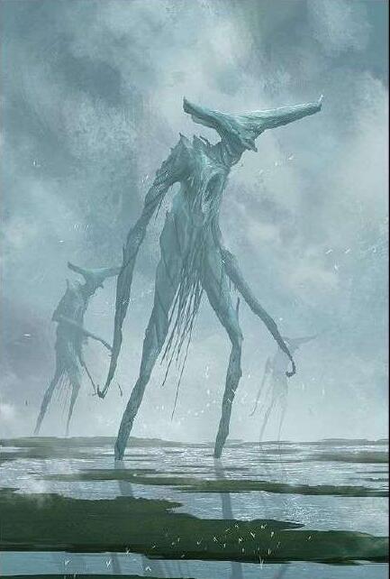 �����µ�ְҵ��ʲô ƽʱ��ͨ����ô��������