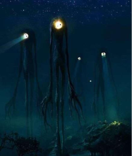 �����µ�ְҵ��ʲô ƽʱ��ͨ����ô��������