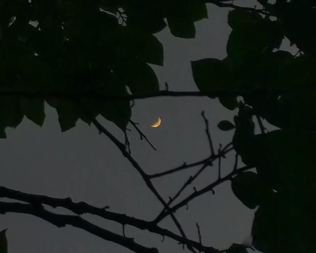 Ű�ľ�����¼ 15��Ű�ĵ���������Ķ̾����Ű��