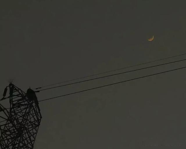 Ű�ľ�����¼ 15��Ű�ĵ���������Ķ̾����Ű��