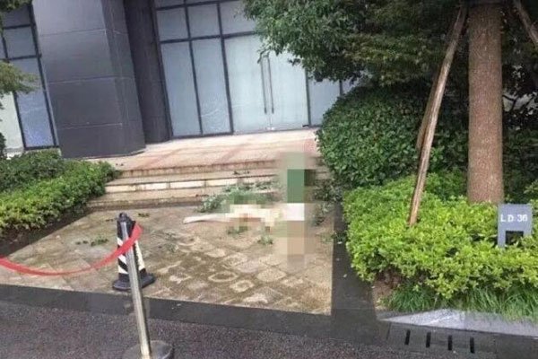 �ν������ݵ�ʲô�Ƶ������������ ��ı�ۣ��ν��ĸ������ϼ��