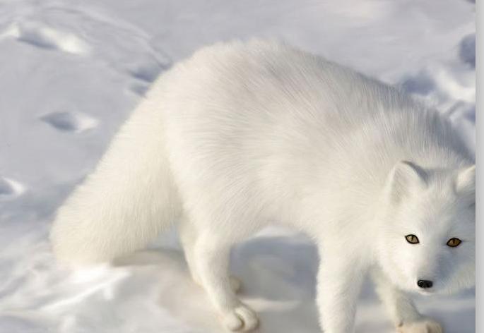 ����̫ү��ʲô�ɶ� �ƹ�ȫ���µĺ��ҳ�����