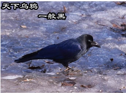 ѻĽԤʾʲô ѻѻмʱ