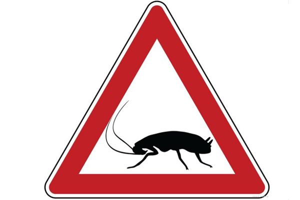 �����ô�������С���� ���ҩʲô���Ӻ���,��ɱ������