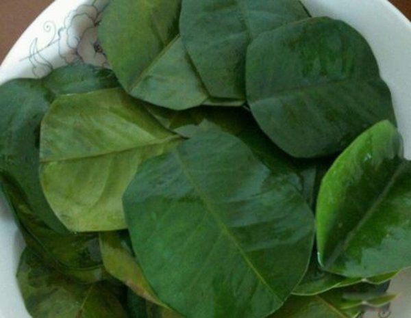 驱邪的颜色有哪些 日常生活中驱鬼辟邪最厉害的东西