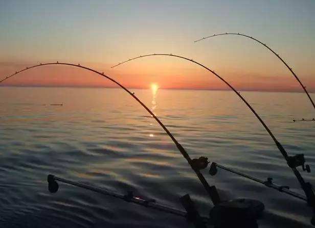 ������˻᲻���ⱨӦ �����٣��������Ϊʲô����