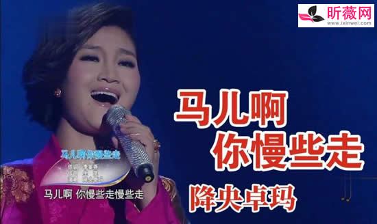 ϸȫ10 ϸ辭仳ɸаǰʮ