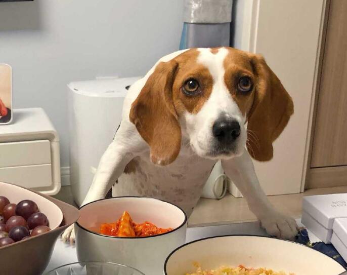 �ȸ�ȮΪʲô�������� �ȸ�Ȯ��÷��Ӵ�������˷ֱ�ָʲô��