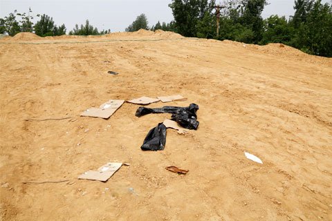 ֣�ݿս�������������� ��ĳ�����������Ƭ