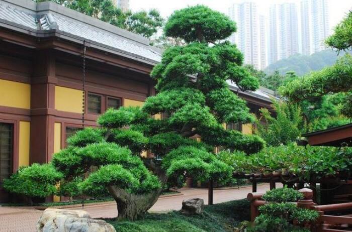 ��լ��������� ��ˮ���Ĵ���լ������