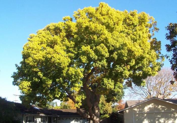 ��լ��������� ��ˮ���Ĵ���լ������