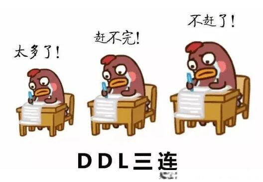 cpddʲô˼ȴ ¹ϵcpddĴ